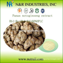 Notoginseng Extract Rb1+Rc+Rb3+Rd>60%HPLC